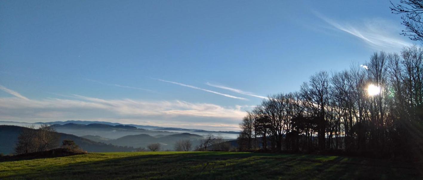 Gites Des Esselards Yzeron Exteriör bild