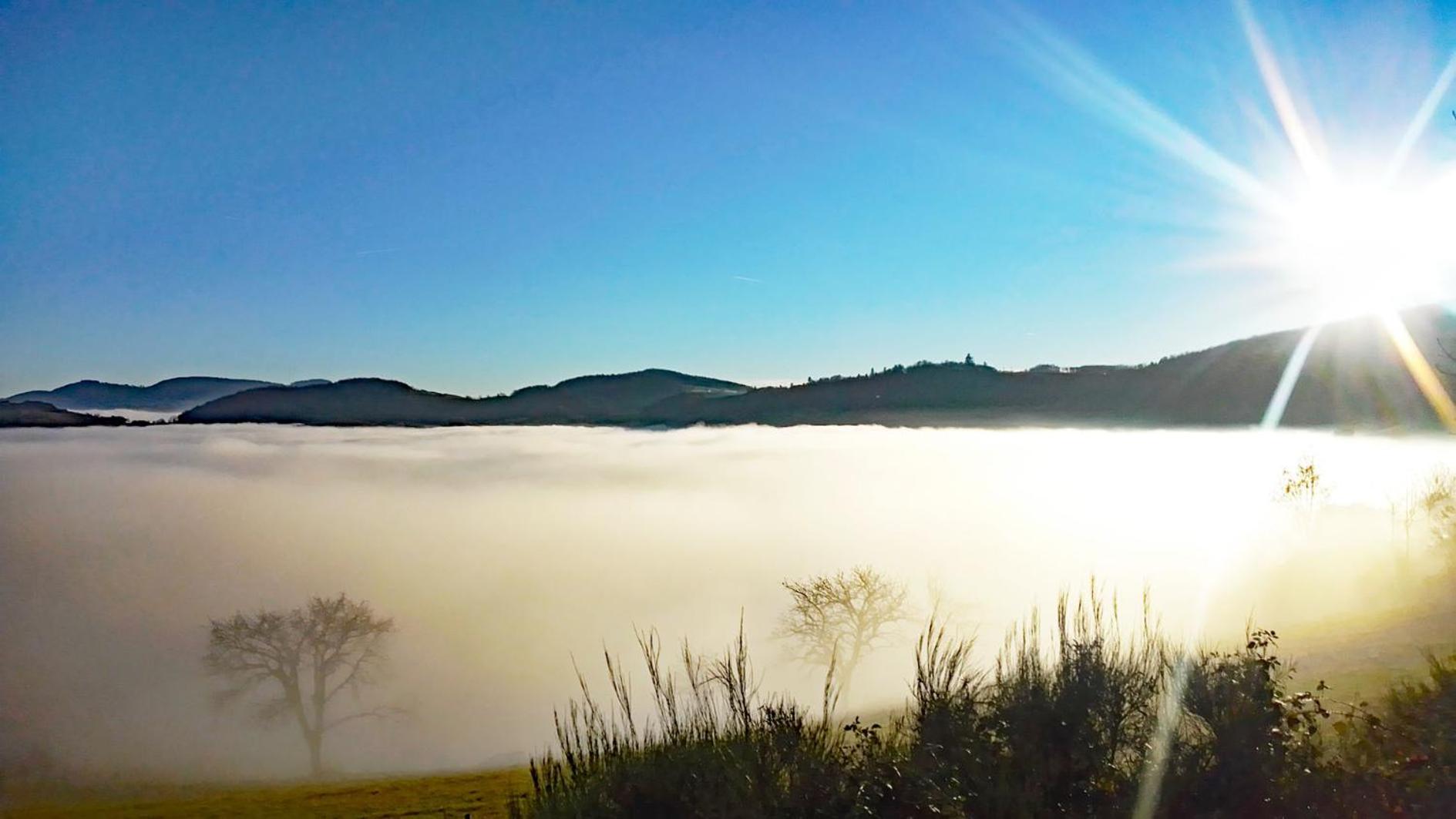 Gites Des Esselards Yzeron Exteriör bild
