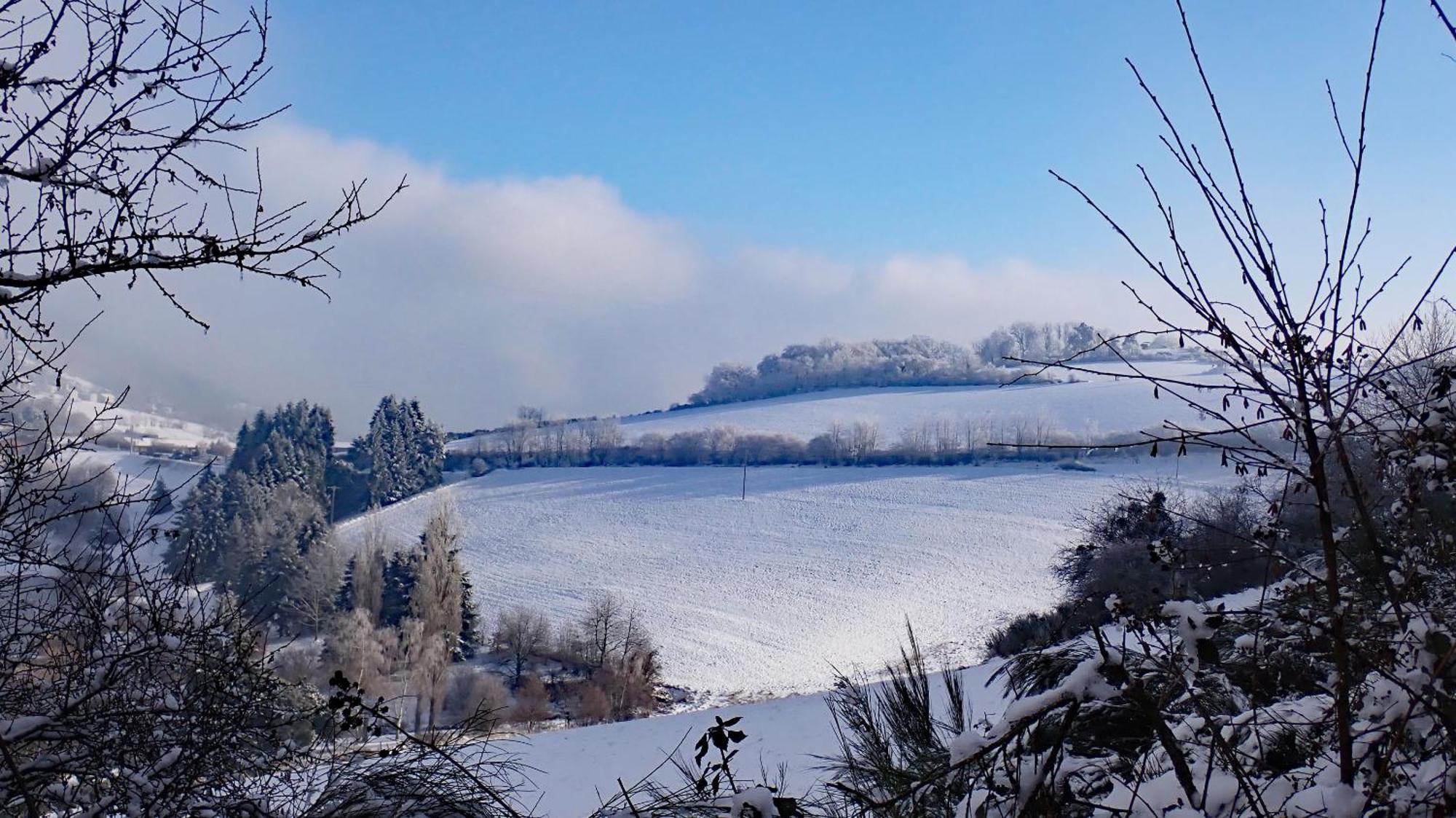 Gites Des Esselards Yzeron Exteriör bild