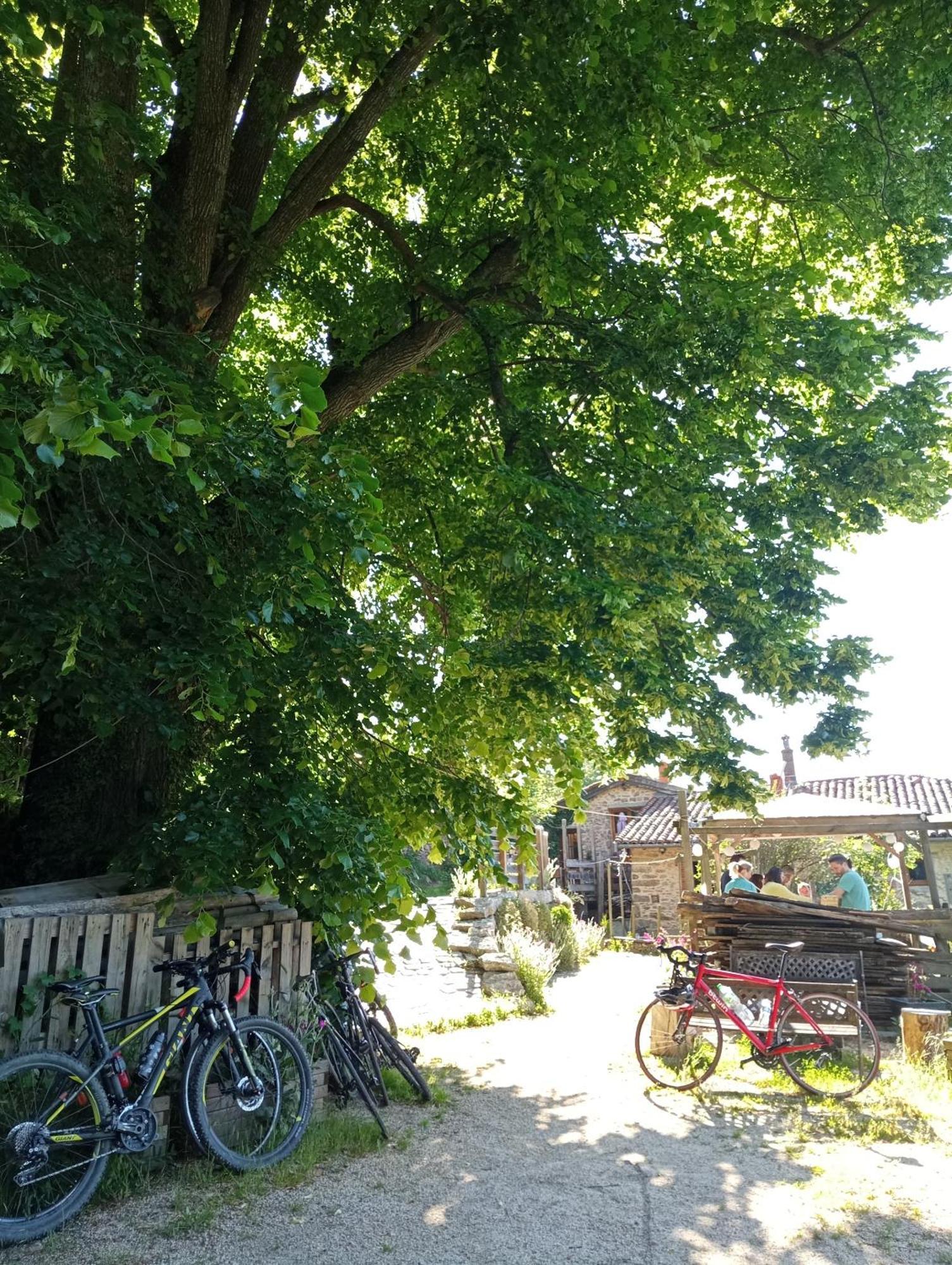 Gites Des Esselards Yzeron Exteriör bild